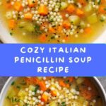 Italian Penicillin Soup Recipe