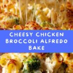 Chicken Broccoli Alfredo Bake Recipe