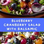 Cranberry Blueberry Salad with Blueberry Balsamic Dressing Recipe