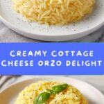 Creamy Cottage Cheese Orzo Recipe