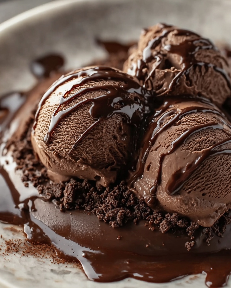 Homemade Chocolate Ice Cream Recipe - Recipe Image