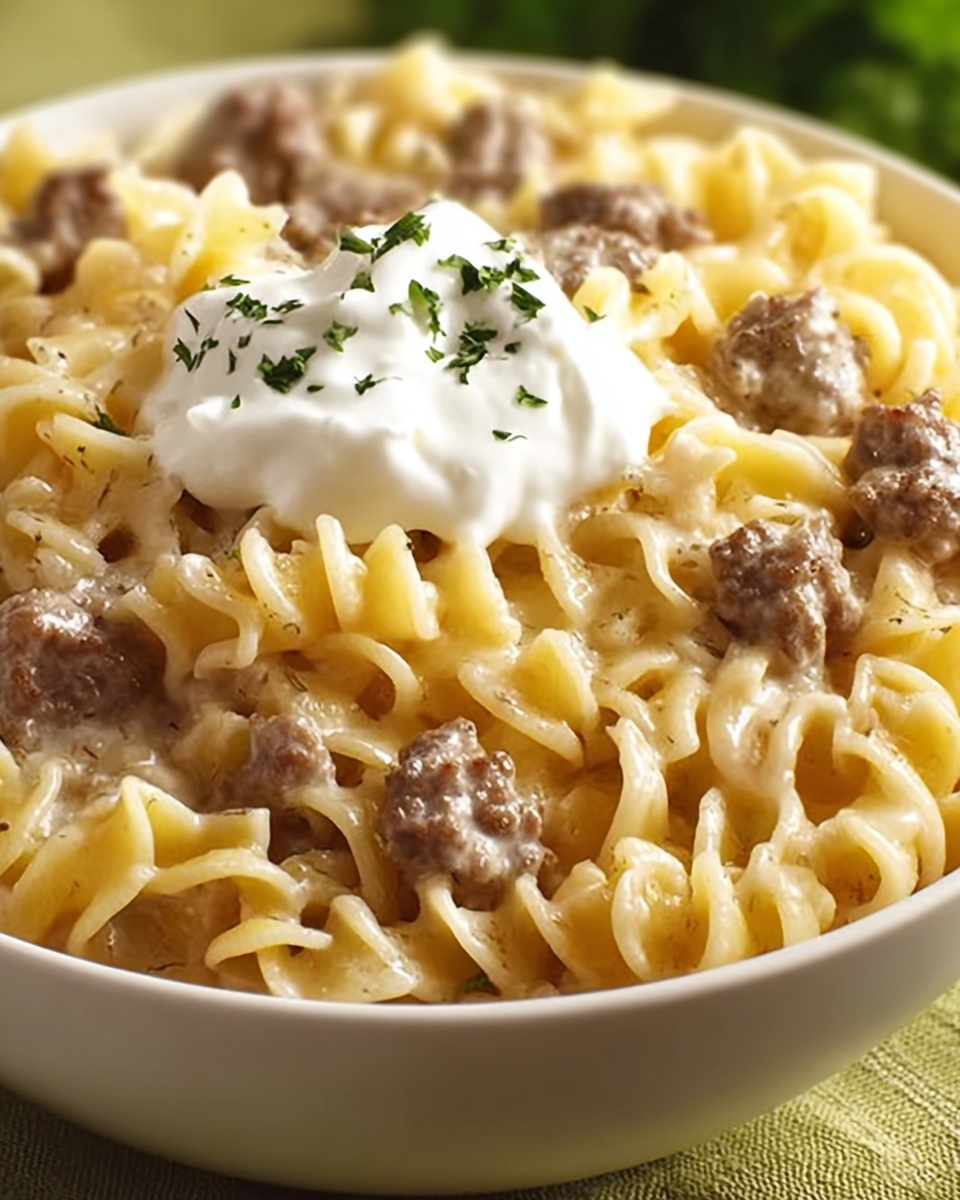Sour Cream Beef Noodle Casserole Recipe - Recipe Image
