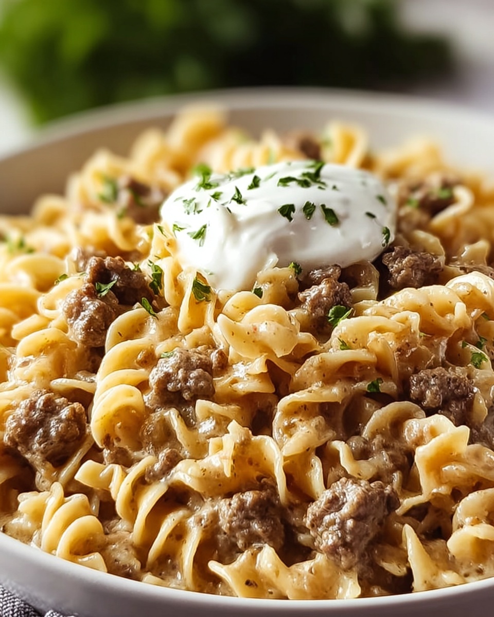 Sour Cream Beef Noodle Casserole Recipe - Recipe Image