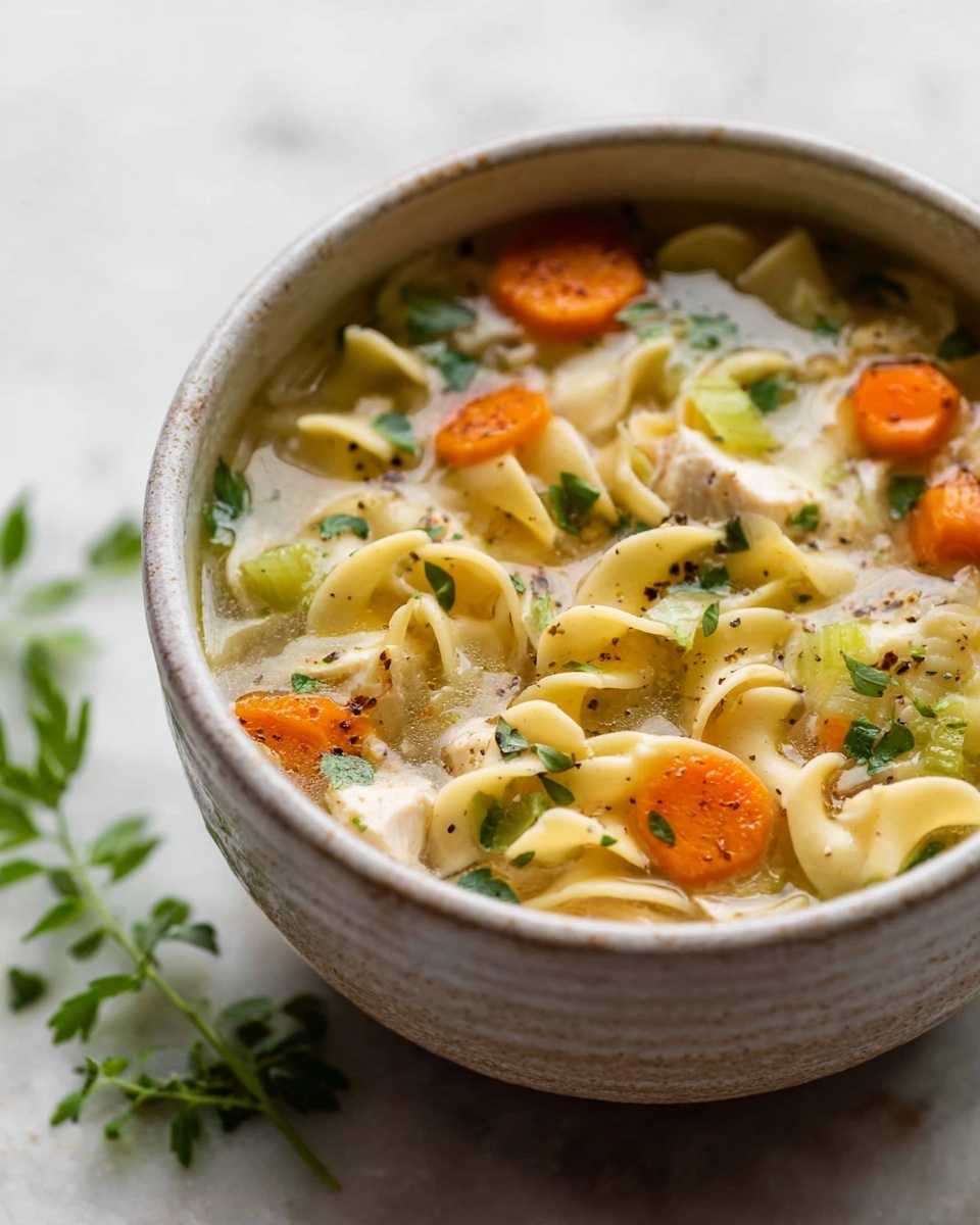 Quick and Easy Turkey Noodle Soup Recipe - Recipe Image