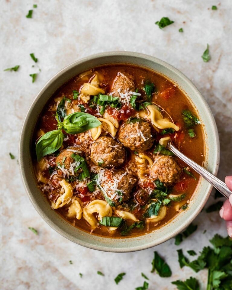 Turkey Meatball Soup Recipe