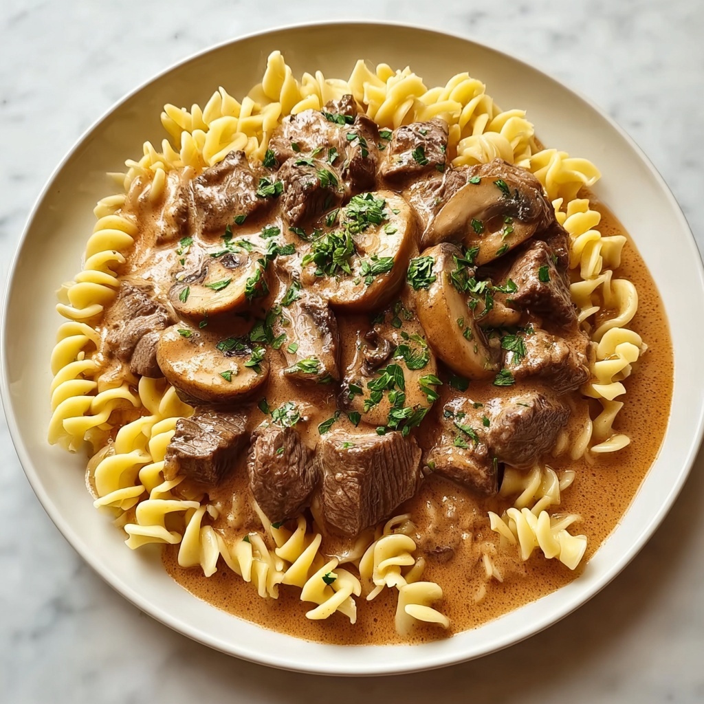 High Protein Beef Stroganoff Recipe - Recipe Image