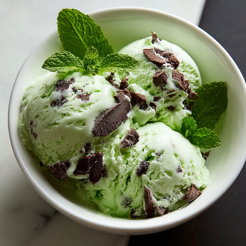 Mint Chocolate Chip Ice Cream Recipe - Recipe Image